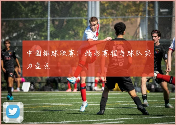 中国排球联赛：精彩赛程与球队实力盘点