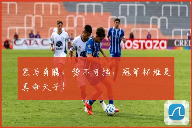 黑马奔腾，势不可挡，冠军杯谁是真命天子！