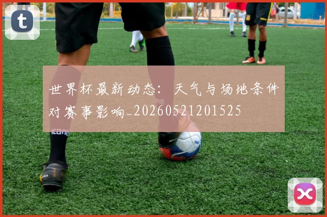 世界杯最新动态：天气与场地条件对赛事影响_20260521201525